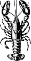 Image of Black and white illustration of two lobster claws. printed on Printed Glass Basin Splashbacks