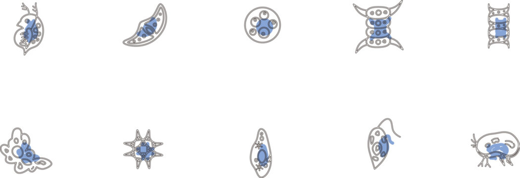 微生物アイコンセットアウトライン