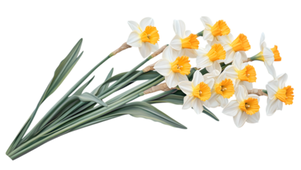 Bouquet of White and Yellow Daffodils