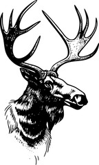 Two detailed black and white antlers.