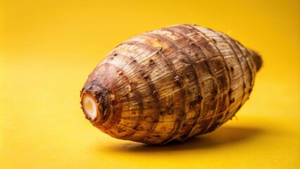 Closeup of taro root vegetable, eddo malanga, on yellow background, taro, root vegetable, eddo malanga, closeup