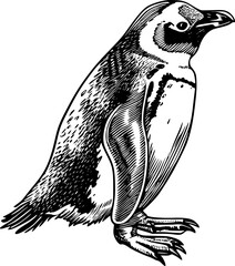 Black and white line art illustration of a penguin looking to the right. © shahadatarman 0