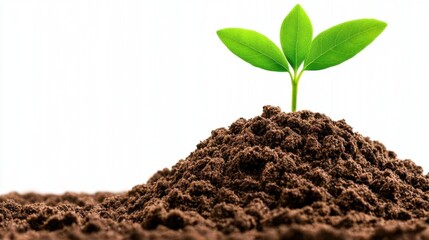 A photostock of a mound of soil on a white background, representing gardening, farming, or construction themes.