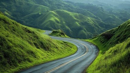 Fototapeta premium Verdant hillsides embracing winding sea road