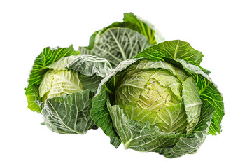 Fototapeta premium Fresh Green Cabbages on a White Background