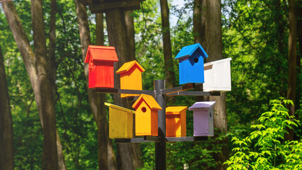 A colorful birdhouse with a black pole holding it up. The birdhouses are of different colors and sizes
