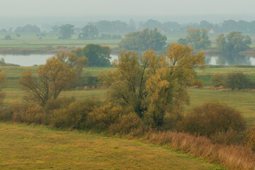 Biosphärenreservat Flusslandschaft Elbe Mecklenburg-Vorpommern