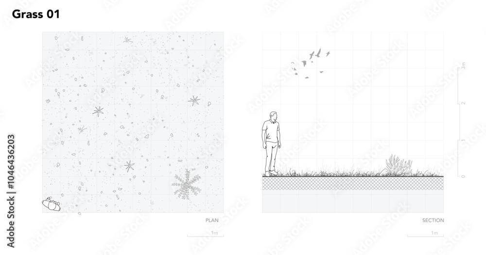 Poster architectural drawings, minimal style cad tree line drawing, side view, plan and section forest outl