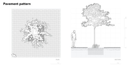 Architectural Drawings, Minimal style cad tree line drawing, Side view, plan and section forest outline symbol for landscape design drawing. Vector illustration in stroke fill in white. © feipco