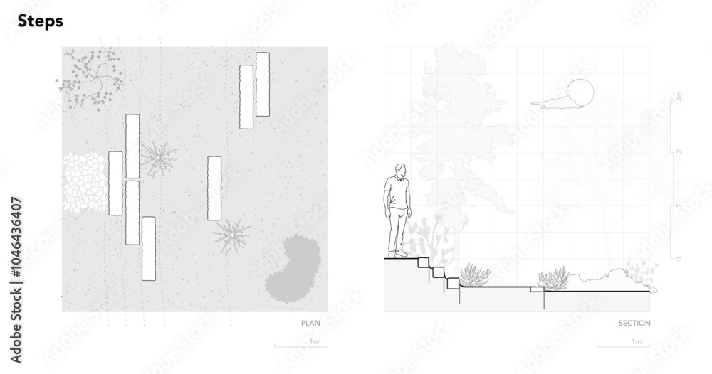 Poster architectural drawings, minimal style cad tree line drawing, side view, plan and section forest outl