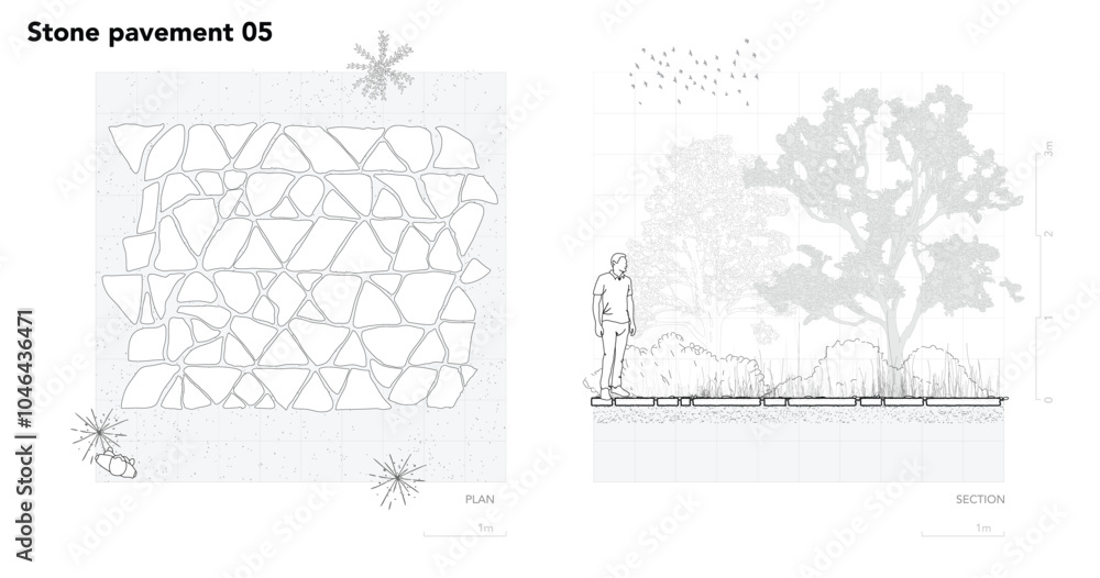 Poster architectural drawings, minimal style cad tree line drawing, side view, plan and section forest outl