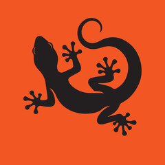 lizard on a red background