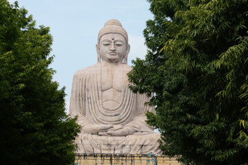 Obraz premium the 80ft buddha statue through the foliage is one of the many stops in the buddhist pilgrimage and tourist routes in bodh gaya, bihar, india