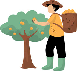 Vector Illustration of Farmer Picking Fruit in the Garden
