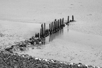 Buhnen am Kniephaken, Schwarzweiß, Nationalpark Schleswig-Holsteinisches Wattenmeer,...