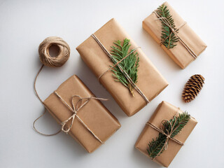 Fototapeta premium wrapped gift