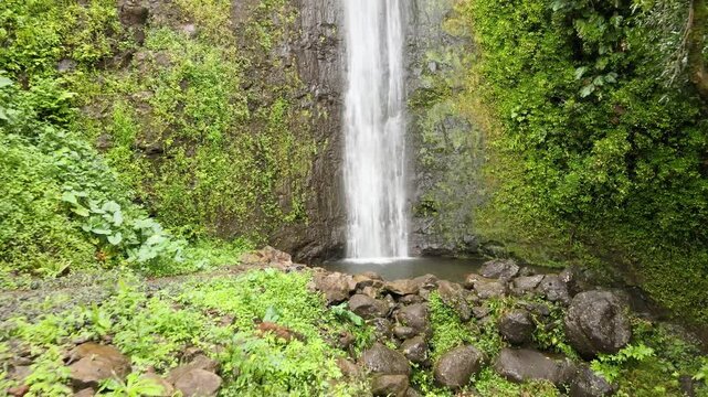 Drone Footage of Manoa Falls, Honolulu, Hawaii