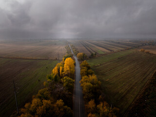 Drone view of landscape before the rain. Road with trees in a field during heavy fog. A dark cloud...