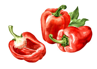 Sweet red bell pepper with green leaves. Watercolor hand painted illustration isolated on white background