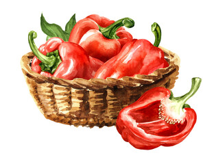 Sweet red bell pepper, Paprika, in the basket. Watercolor hand painted illustration, isolated on white background