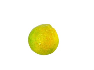 Citrus fruits isolated. single object of Lemon or lime on a white background. almost cooked