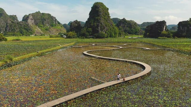Ninh Binh - Mua Cave aerial view on lotus field
