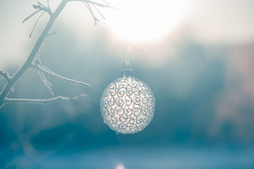Christmas ball on tree outdoors, creative photo, new year, christmas