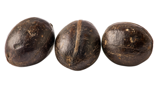 Three dark brown seeds arranged closely together on a transparent background, showcasing their smooth texture and elongated shape.