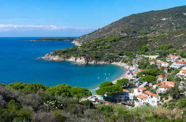 Fototapeta premium Cavoli