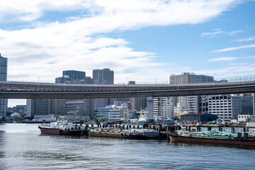Obraz premium 東京の湾岸エリアの首都高速道路風景