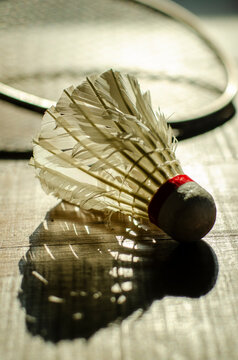 shuttlecock
