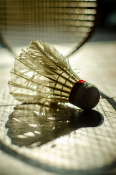 shuttlecock