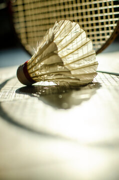 shuttlecock