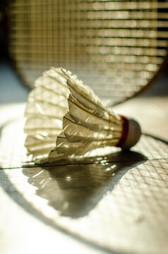 shuttlecock