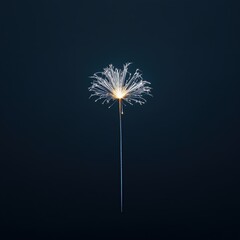 Funkenregen eines Feuerwerks auf dunklem Hintergrund