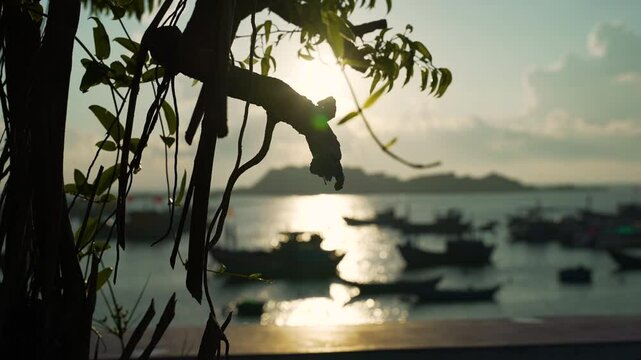 Quy Nhon, Vietnam - Traditional Fishing Boats on Calm Sea at Sunrise_2