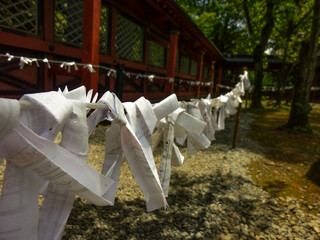 Paper hung on a line in a temple, Japan