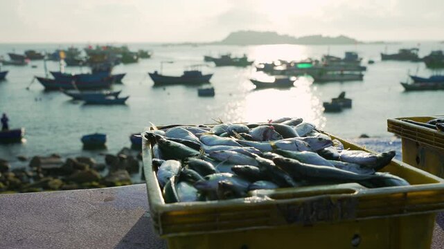 Quy Nhon, Vietnam - Traditional Fishing Boats on Calm Sea at Sunrise