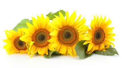 Fototapeta premium Bright sunflower bouquet elegantly arranged against a clean white backdrop for a fresh look