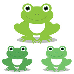 Set of green frogs in flat style isolated on white background. Vector illustration.