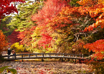 神戸市立森林植物園