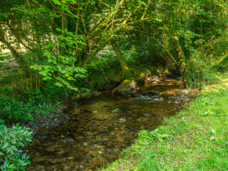 Obraz premium path of the mills, vilasantar