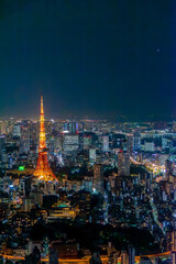 Obraz premium panoramic, tourist attractions in the city park of Tokyo, Asia business concept image, panoramic modern cityscape building in Japan. 