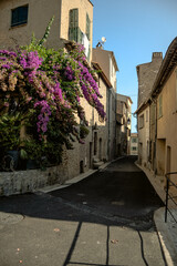 Fototapeta premium street in the Haut de Cagnes village, showing a tree with pink flower in a sunny day