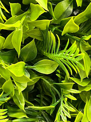 Green Artificial Leaves. Decor. Background.Texture