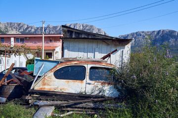 Old car rusty body in the bushes