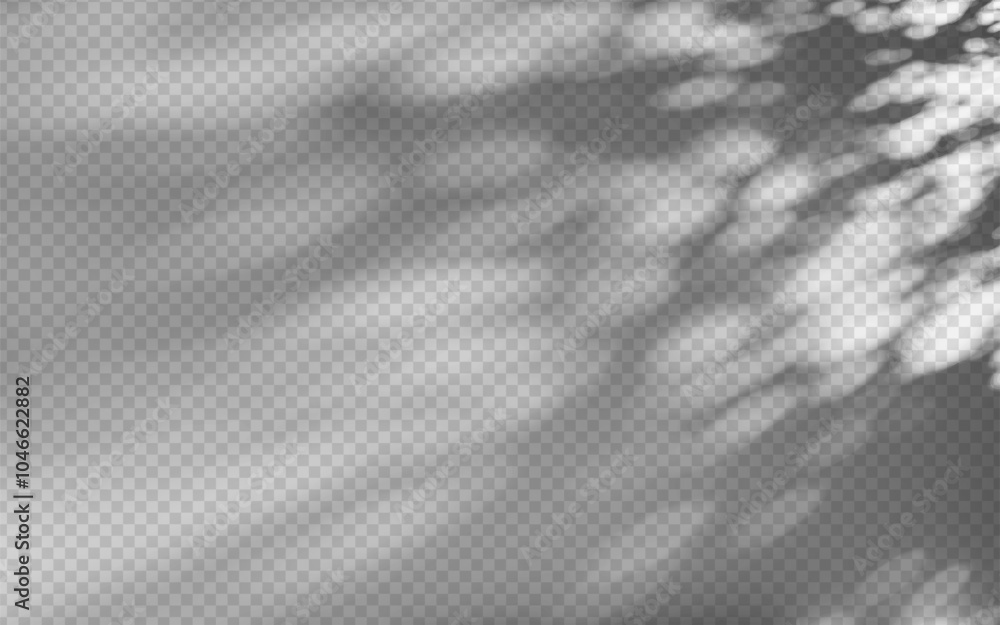 Poster abstract shadow overlay from foliage on a transparent background.