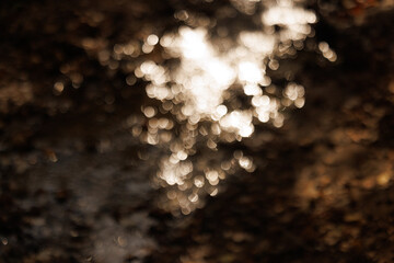 Dappled sunlight dances on shimmering water, casting ethereal reflections in a tranquil natural setting