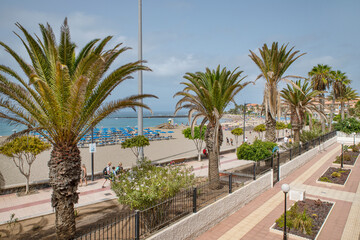 Fototapeta premium Vibrant promenade in front of Las Vistas Beach lined with tall palm trees and flanked by meticulously maintained pedestrian pathways, Los Cristianos, Tenerife, Canary Islands, Spain