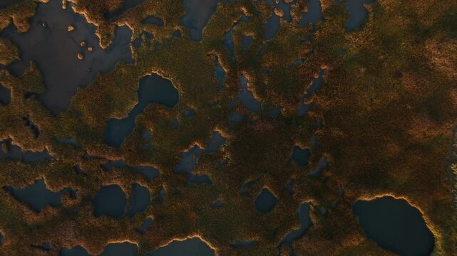 Top View Of Salt Marsh In Cape Cod, Barnstable, Massachusetts - Drone Shot